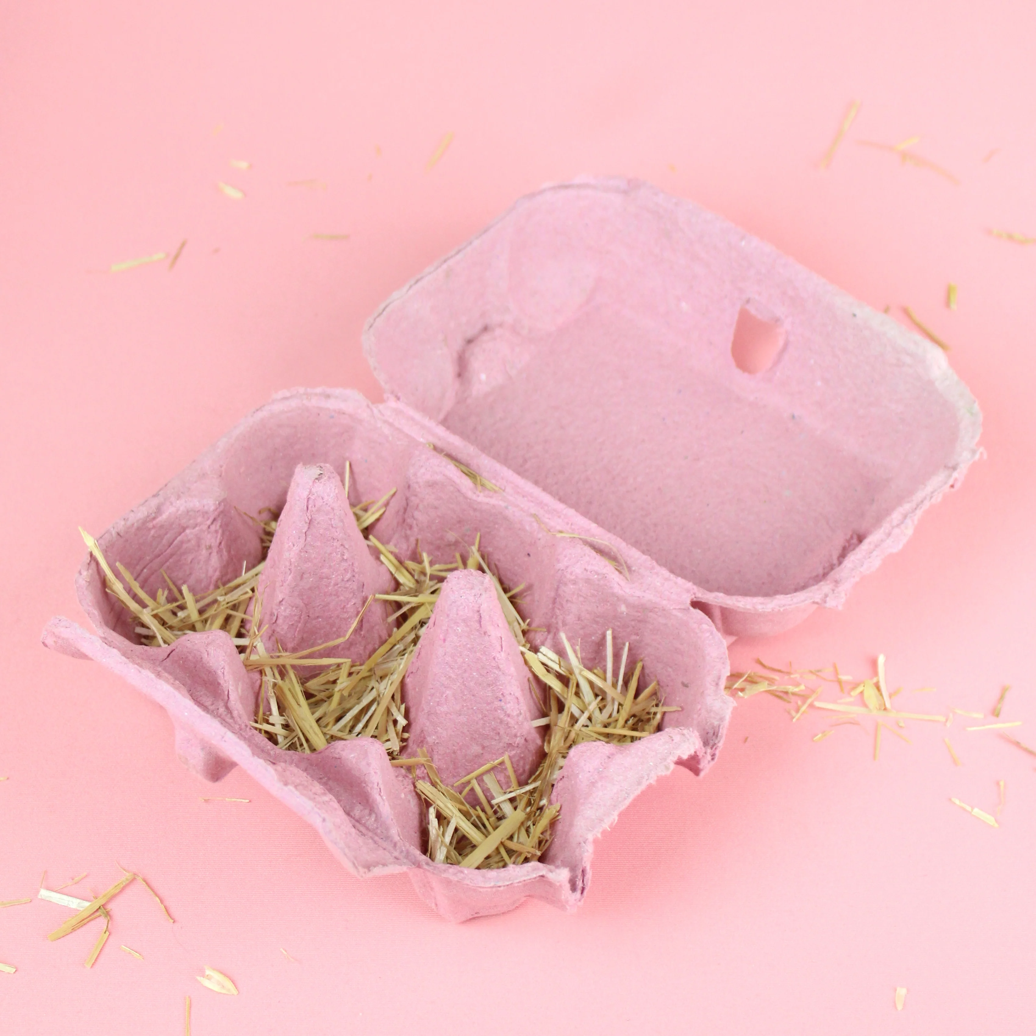 What Came First? Gift Set - Image 7