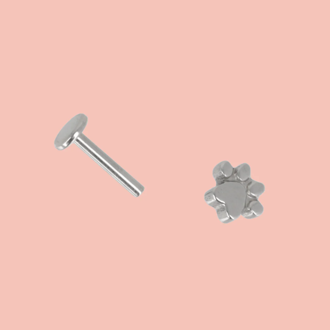 Screw On Paw Stud Earrings - Image 3