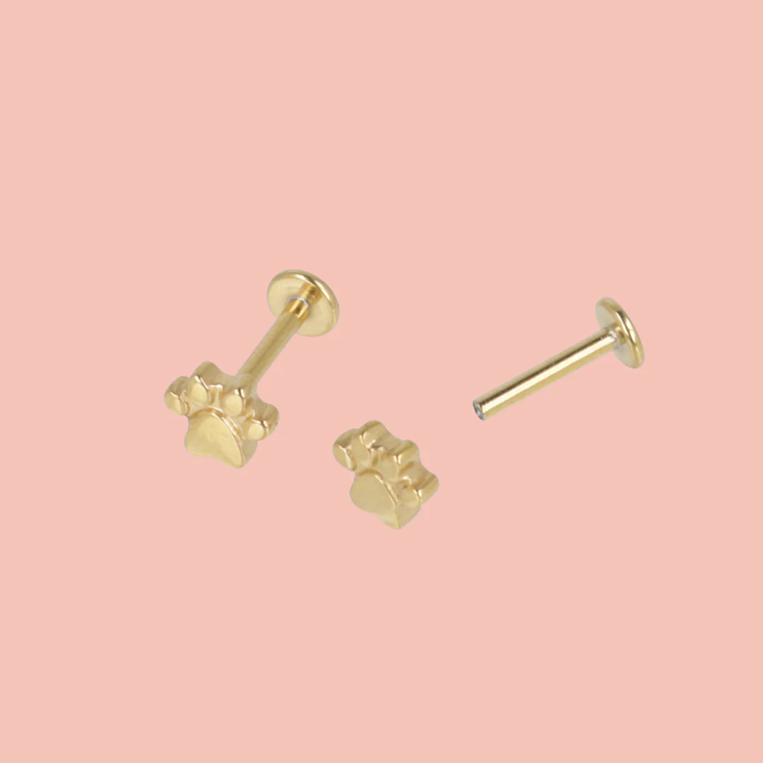 Screw On Paw Stud Earrings (Gold Plated) - Image 2